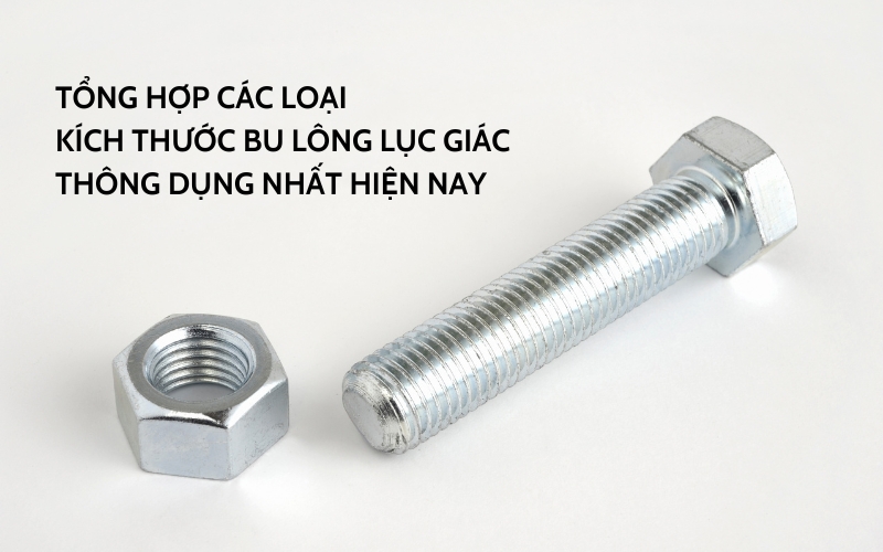 kích thước bu long