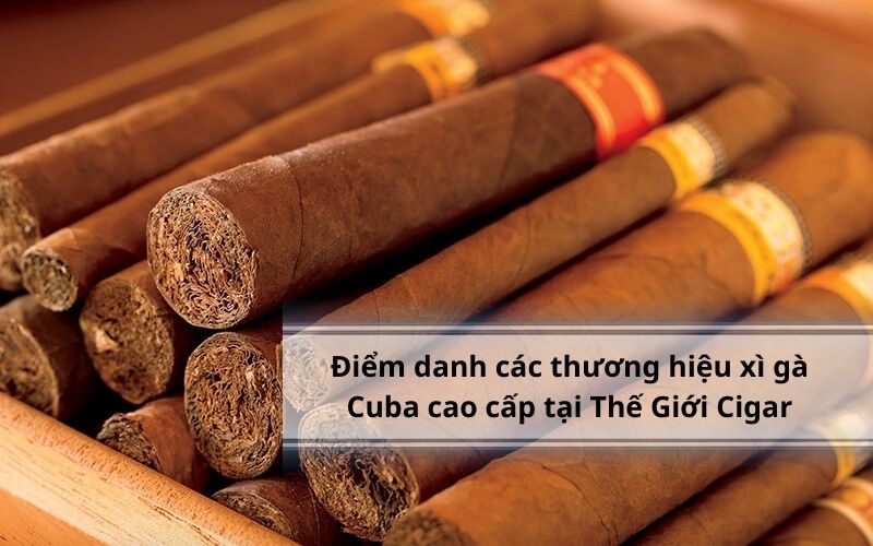 Top các thương hiệu xì gà Cuba cao cấp tại Thế Giới Cigar