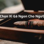cách chọn xì gà
