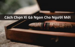 cách chọn xì gà