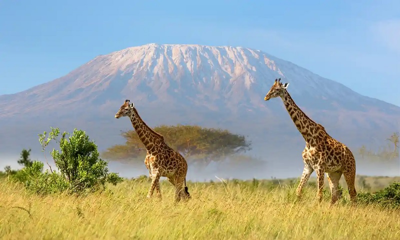 Núi Kilimanjaro