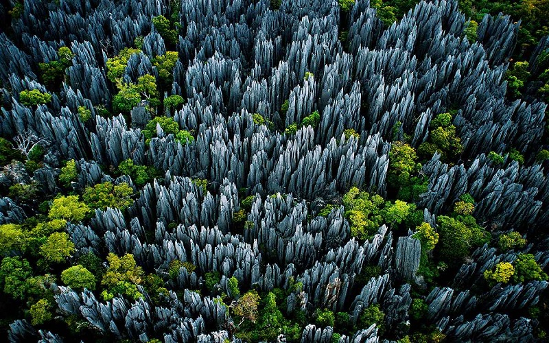 Rừng đá Tsingy de Bemaraha