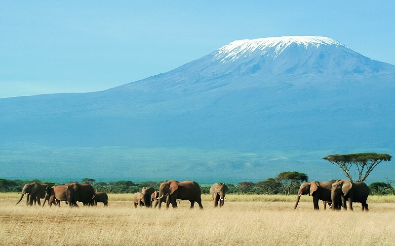 Vườn quốc gia Amboseli