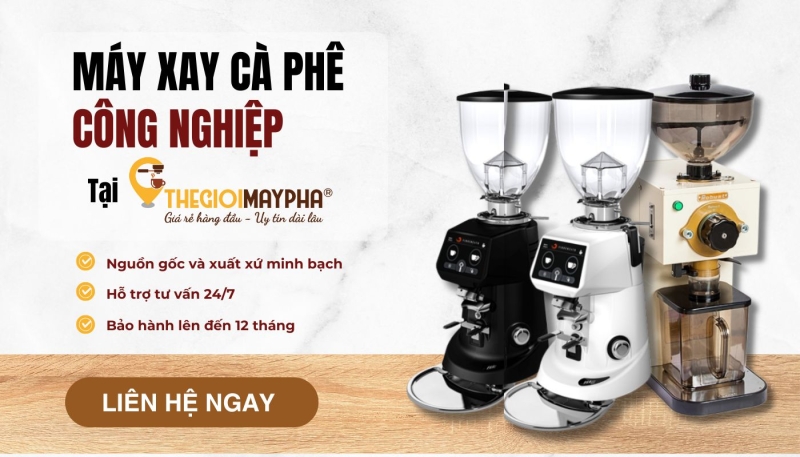 thế giới máy pha