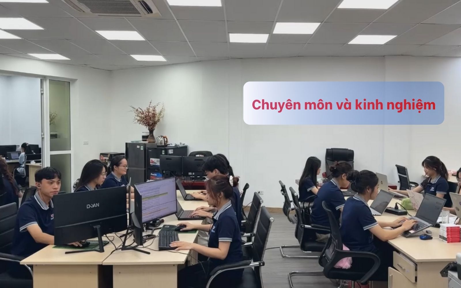 Chuyên môn và kinh nghiệm của đội ngũ luật sư