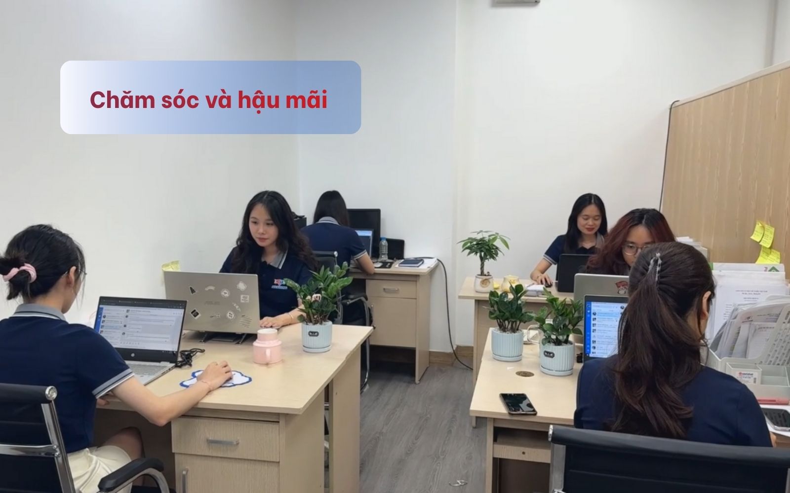 Dịch vụ chăm sóc khách hàng và hậu mãi