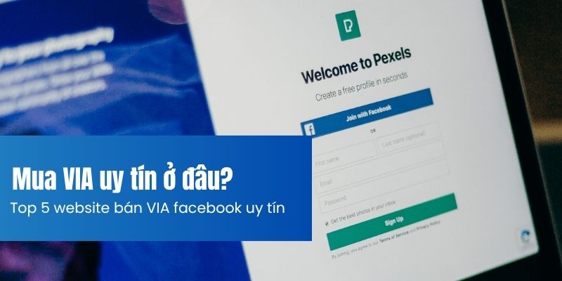 Mua VIA uy tín ở đâu?